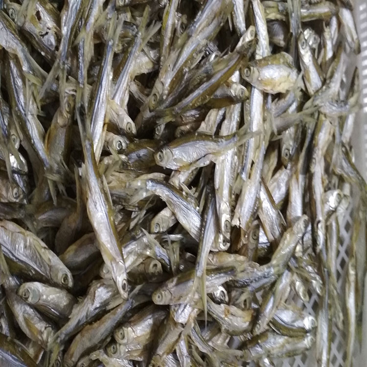 小魚干烘干機