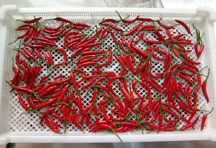 食品烘干機