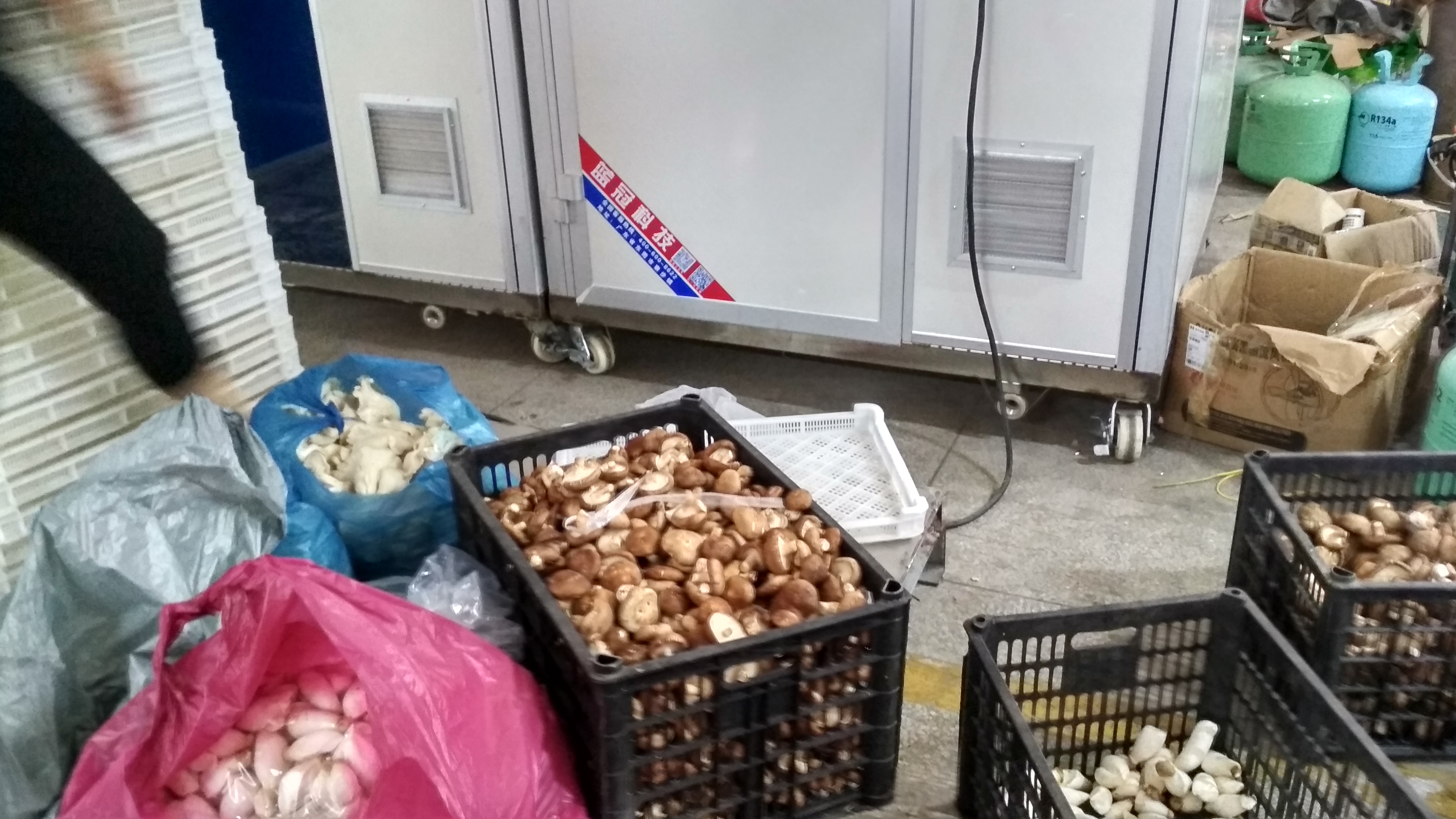 食用菌烘干機